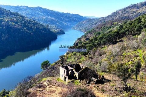 Terra a Baiao, Porto, Baiao - € 380.000 | Ref: 9949_M - foto 3