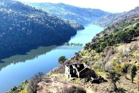 Terra a Baiao, Porto, Baiao - € 380.000 | Ref: 9949_M - foto 2