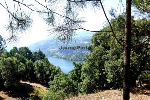 Terra a Baiao, Porto, Baiao - € 380.000 | Ref: 9949_M - foto 9