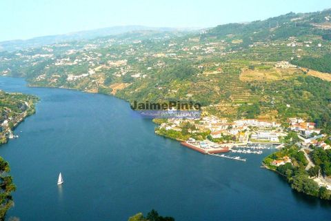 Terra a Baiao, Porto, Baiao - € 380.000 | Ref: 9949_M - foto 10