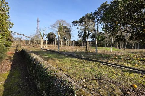 Villa a Vila do Conde, Porto, Vila do Conde - € 950.000 | Ref: EX03753 - foto 11
