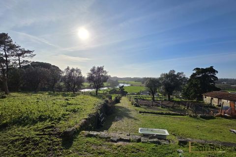 Villa a Vila do Conde, Porto, Vila do Conde - € 950.000 | Ref: EX03753 - foto 12