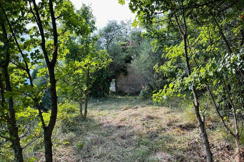 Villa a Perinaldo, Imperia, Perinaldo - € 43.000 | Ref: 1124 - foto 4