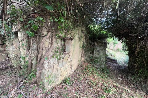 Villa a Perinaldo, Imperia, Perinaldo - € 43.000 | Ref: 1124 - foto 6