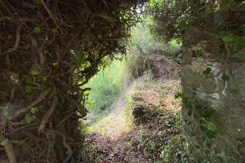 Villa a Perinaldo, Imperia, Perinaldo - € 43.000 | Ref: 1124 - foto 14