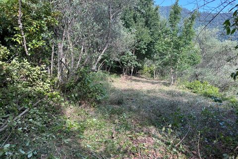 Villa a Perinaldo, Imperia, Perinaldo - € 43.000 | Ref: 1124 - foto 16