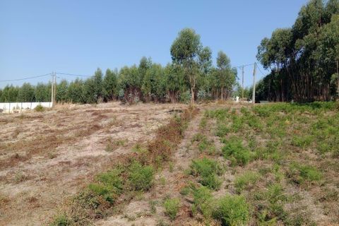 Helårsgrund i Rio Maior, Santarem, Rio Maior - € 85.000 | Ref: C0222-06858 - foto 2