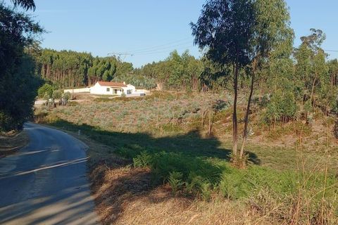 Helårsgrund i Rio Maior, Santarem, Rio Maior - € 85.000 | Ref: C0222-06858 - foto 3