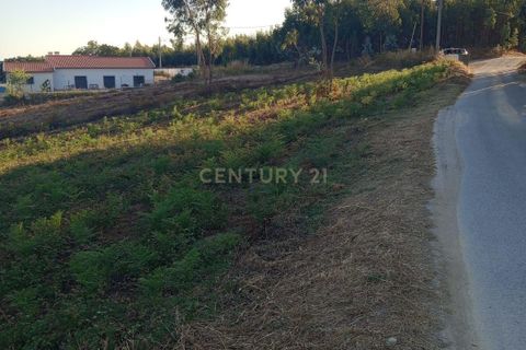 Helårsgrund i Rio Maior, Santarem, Rio Maior - € 85.000 | Ref: C0222-06858 - foto 4
