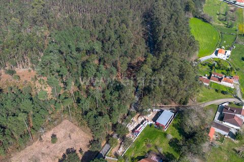 Helårsgrund i Barcelos, Braga, Barcelos - € 57.500 | Ref: 254260665 - foto 4