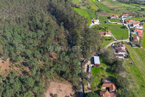 Helårsgrund i Barcelos, Braga, Barcelos - € 57.500 | Ref: 254260665 - foto 5