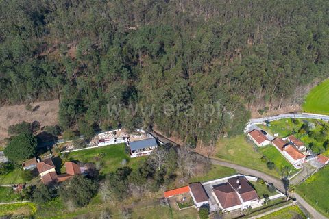 Helårsgrund i Barcelos, Braga, Barcelos - € 57.500 | Ref: 254260665 - foto 7