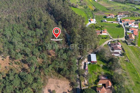 Helårsgrund i Barcelos, Braga, Barcelos - € 57.500 | Ref: 254260665 - foto 8