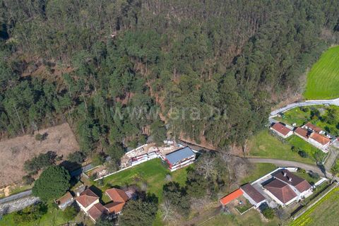 Helårsgrund i Barcelos, Braga, Barcelos - € 57.500 | Ref: 254260665 - foto 9