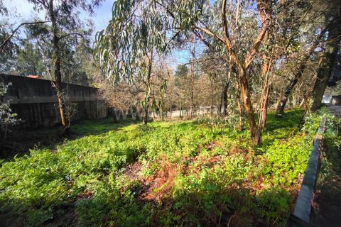 Helårsgrund i Barcelos, Braga, Barcelos - € 67.500 | Ref: 254260650 - foto 2