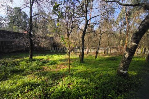 Helårsgrund i Barcelos, Braga, Barcelos - € 67.500 | Ref: 254260650 - foto 3