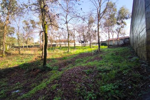 Helårsgrund i Barcelos, Braga, Barcelos - € 67.500 | Ref: 254260650 - foto 4