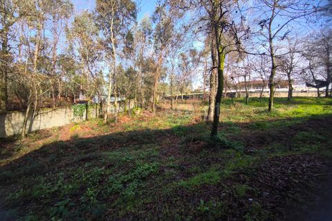 Helårsgrund i Barcelos, Braga, Barcelos - € 67.500 | Ref: 254260650 - foto 6