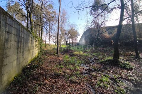 Helårsgrund i Barcelos, Braga, Barcelos - € 67.500 | Ref: 254260650 - foto 8