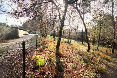 Helårsgrund i Barcelos, Braga, Barcelos - € 67.500 | Ref: 254260650 - foto 9