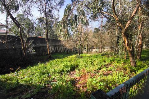 Helårsgrund i Barcelos, Braga, Barcelos - € 67.500 | Ref: 254260650 - foto 10