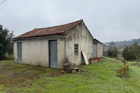 Terra a Carregal do Sal, Viseu, Carregal do Sal - € 50.000 | Ref: SALI0271 - foto 2