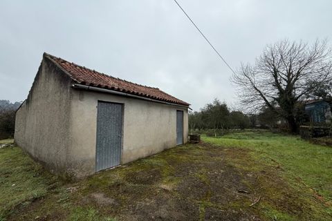 Terra a Carregal do Sal, Viseu, Carregal do Sal - € 50.000 | Ref: SALI0271 - foto 4