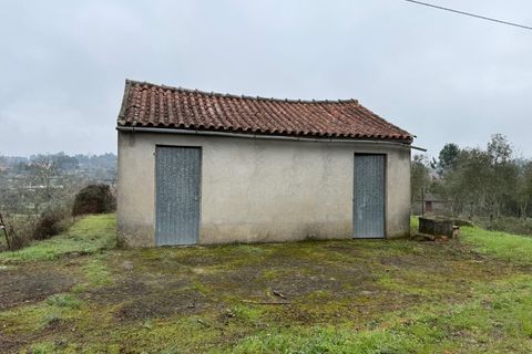 Terra a Carregal do Sal, Viseu, Carregal do Sal - € 50.000 | Ref: SALI0271 - foto 5