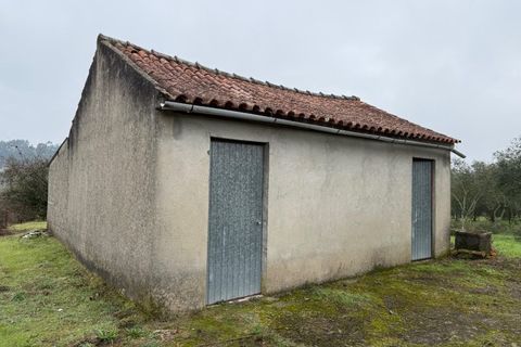 Terra a Carregal do Sal, Viseu, Carregal do Sal - € 50.000 | Ref: SALI0271 - foto 6