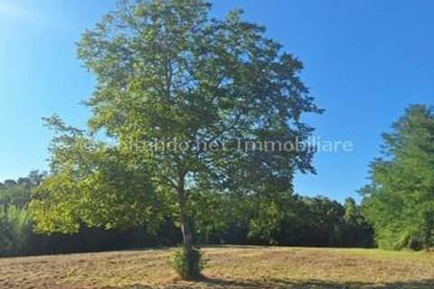 Villa a Penne, Pescara, Penne - € 100.000 | Ref: PNN996 - foto 16