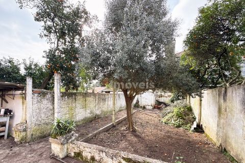 Villa a Entroncamento, Santarem, Entroncamento - € 167.500 | Ref: 01904-26 - foto 5