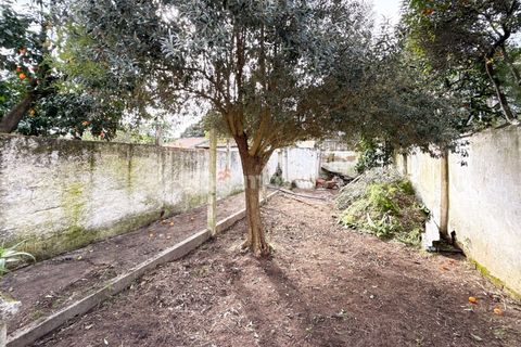 Villa a Entroncamento, Santarem, Entroncamento - € 167.500 | Ref: 01904-26 - foto 24