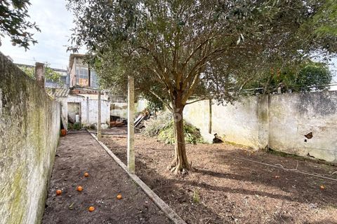 Villa a Entroncamento, Santarem, Entroncamento - € 167.500 | Ref: 01904-26 - foto 26