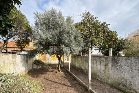 Villa a Entroncamento, Santarem, Entroncamento - € 167.500 | Ref: 01904-26 - foto 28