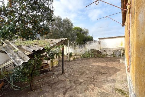 Villa a Entroncamento, Santarem, Entroncamento - € 167.500 | Ref: 01904-26 - foto 31
