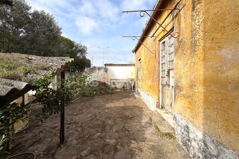 Villa a Entroncamento, Santarem, Entroncamento - € 167.500 | Ref: 01904-26 - foto 32