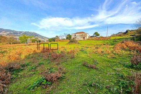 Farm i Cinfaes, Viseu, Cinfaes - € 225.000 | Ref: 00844FR - foto 18