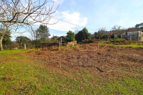 Farm i Cinfaes, Viseu, Cinfaes - € 225.000 | Ref: 00844FR - foto 9