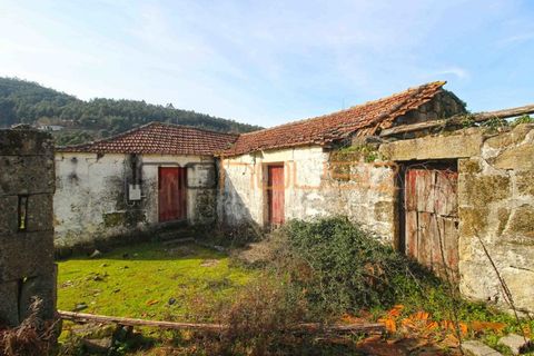 Farm i Cinfaes, Viseu, Cinfaes - € 225.000 | Ref: 00844FR - foto 10