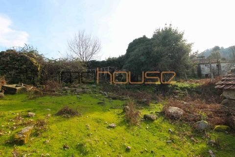 Farm i Cinfaes, Viseu, Cinfaes - € 225.000 | Ref: 00844FR - foto 12