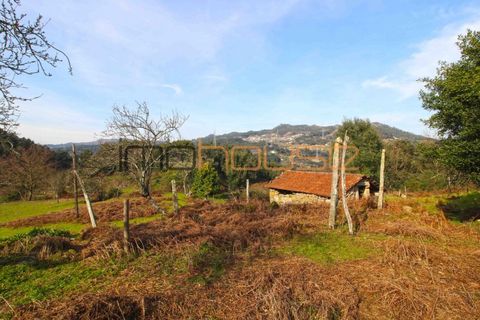 Farm i Cinfaes, Viseu, Cinfaes - € 225.000 | Ref: 00844FR - foto 13
