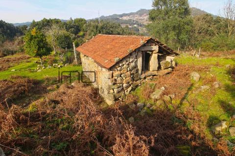 Farm i Cinfaes, Viseu, Cinfaes - € 225.000 | Ref: 00844FR - foto 14