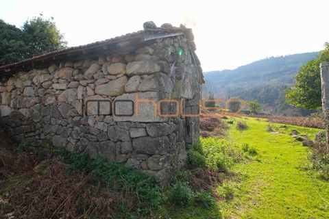 Farm i Cinfaes, Viseu, Cinfaes - € 225.000 | Ref: 00844FR - foto 15