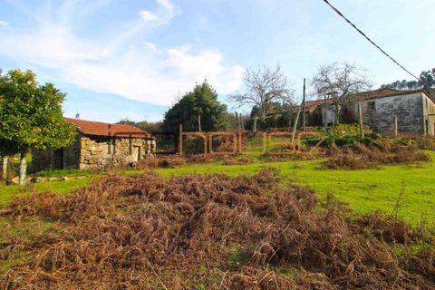 Farm i Cinfaes, Viseu, Cinfaes - € 225.000 | Ref: 00844FR - foto 16