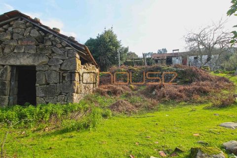 Farm i Cinfaes, Viseu, Cinfaes - € 225.000 | Ref: 00844FR - foto 17