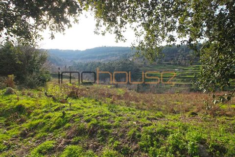 Farm i Cinfaes, Viseu, Cinfaes - € 225.000 | Ref: 00844FR - foto 19
