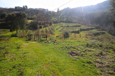 Farm i Cinfaes, Viseu, Cinfaes - € 225.000 | Ref: 00844FR - foto 21
