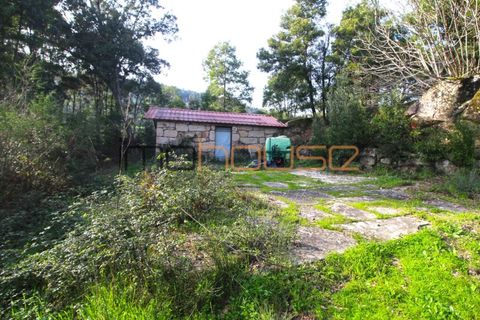 Farm i Cinfaes, Viseu, Cinfaes - € 225.000 | Ref: 00844FR - foto 33