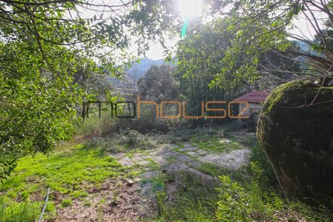 Farm i Cinfaes, Viseu, Cinfaes - € 225.000 | Ref: 00844FR - foto 34