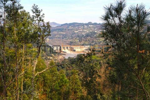 Farm i Cinfaes, Viseu, Cinfaes - € 225.000 | Ref: 00844FR - foto 35